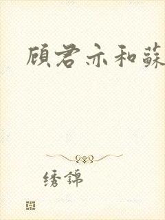 顾君亦和苏杳封面