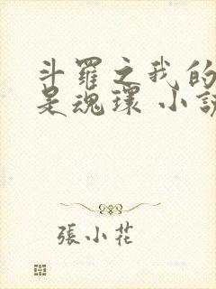 斗罗之我的武魂是魂环 小说
