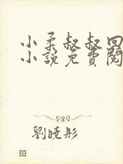 小柔叔叔回乡下小说免费阅读