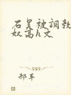 石昊被调教成肉奴高h文