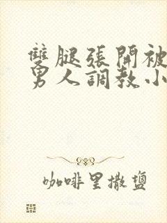 双腿张开被9个男人调教小说高h