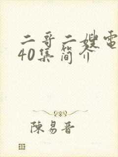 二哥二嫂电视剧40集简介