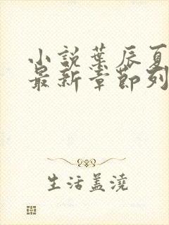 小说叶辰夏若雪最新章节列表最