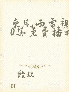 东风雨电视剧40集免费播放在线观看