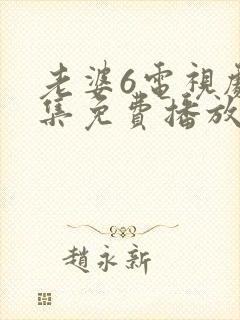 老婆6电视剧全集免费播放西瓜