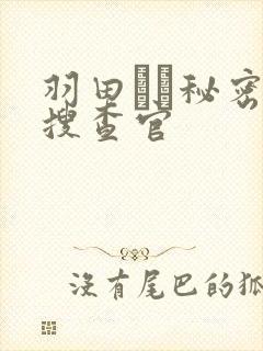 羽田あい秘密女搜查官封面