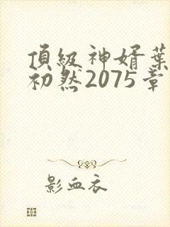 顶级神婿叶辰萧初然2075章