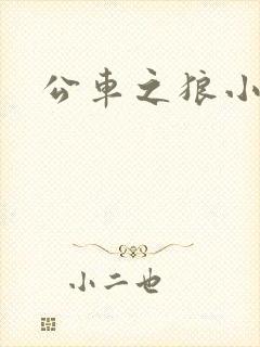 公车之狼小说