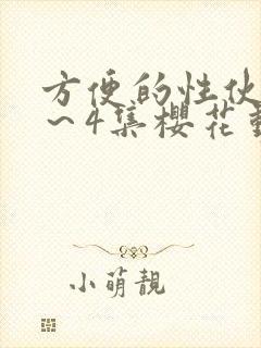 方便的性伙伴1～4集樱花动漫