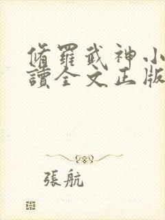 修罗武神小说阅读全文正版封面