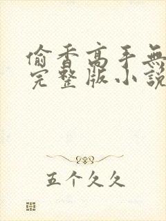 偷香高手无删减完整版小说