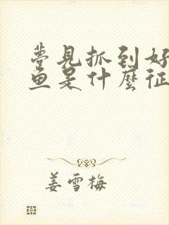 梦见抓到好多大鱼是什么征兆封面