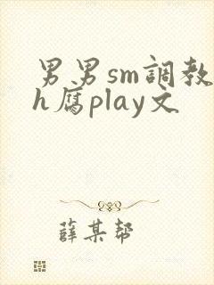 男男sm调教高h腐play文