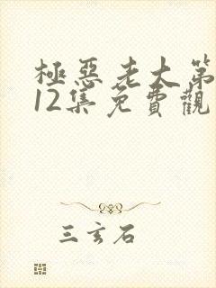 极恶老大第二季12集免费观看