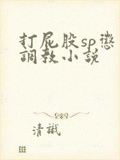 打屁股sp惩罚调教小说