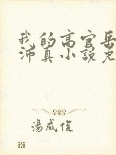 我的高官岳母苏沛真小说免费阅读封面