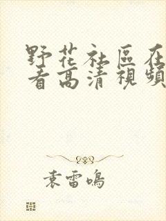 野花社区在线观看高清视频动漫