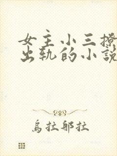 女主小三撩男主出轨的小说