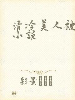 清冷美人被爆操小说
