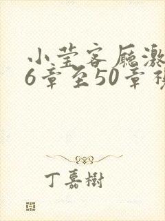 小莹客厅激情46章至50章视