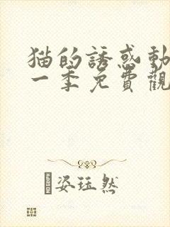 猫的诱惑动漫第一季免费观看