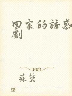 回家的诱惑 韩剧