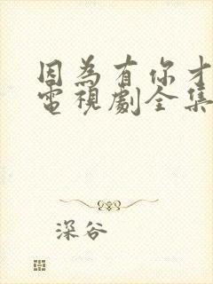 因为有你才有家电视剧全集免费播放在线观看