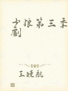 少狼第三季电视剧封面