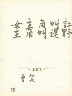 女主角叫许薇男主角叫迟野的小说名