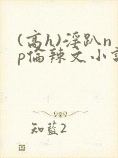 (高h)淫趴np伦辣文小说