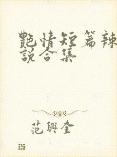 艳情短篇辣文小说合集封面