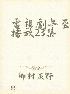 电视剧冬至免费播放23集