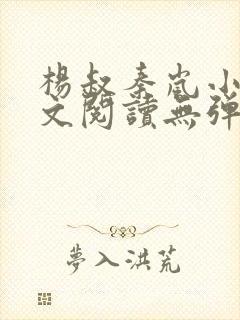 杨叔秦岚小说全文阅读无弹窗