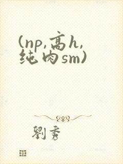 (np,高h,纯肉sm)