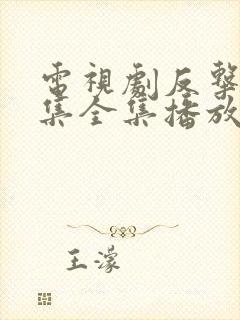 电视剧反击46集全集播放