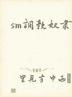 sm调教奴隶文封面