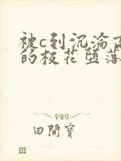 被c到沉沦高潮的校花堕落封面