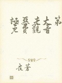 极恶老大第2季免费观看