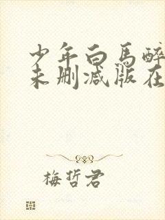 少年白马醉春风未删减版在线观看封面