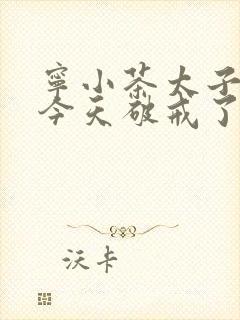 宁小茶太子殿下今天破戒了吗免费阅读
