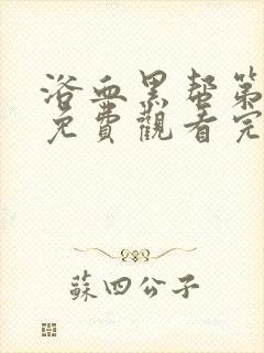 浴血黑帮第五季免费观看完整版