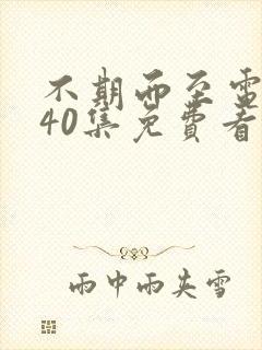 不期而至电视剧40集免费看锦心似玉