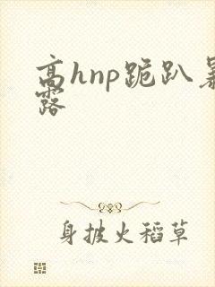 高hnp跪趴暴露封面