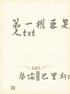 第一权臣是病美人txt