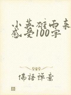 小英雄雨来阅读感受100字