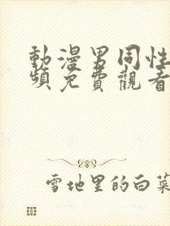 动漫男同性恋视频免费观看