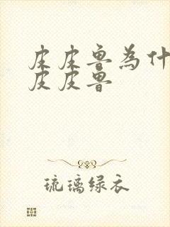 皮皮鲁为什么叫皮皮鲁