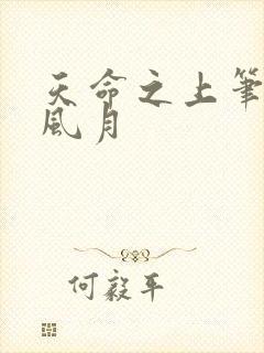 天命之上笔趣阁风月封面