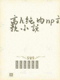 高h纯肉np调教小说
