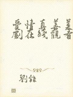 爱情真善美电视剧在线观看免费